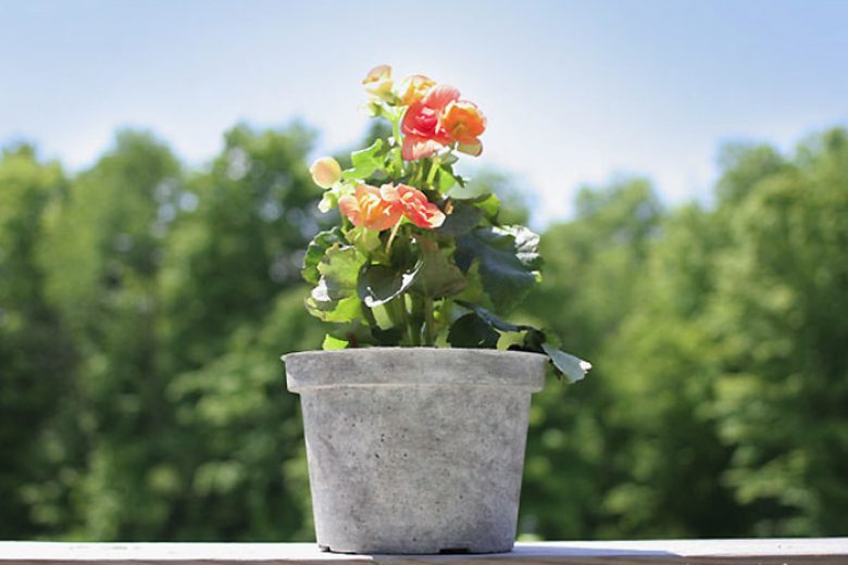 Faux Stone Painted Plastic Flower Pot Tutorial Recycle Your Flower Pots Wonder Forest