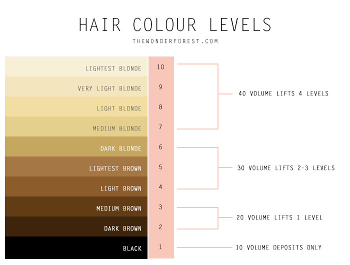 Hair Colour Levels Chart