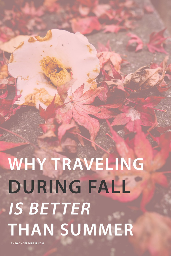 Why Traveling During Fall Is Better Than Summer - Wonder Forest