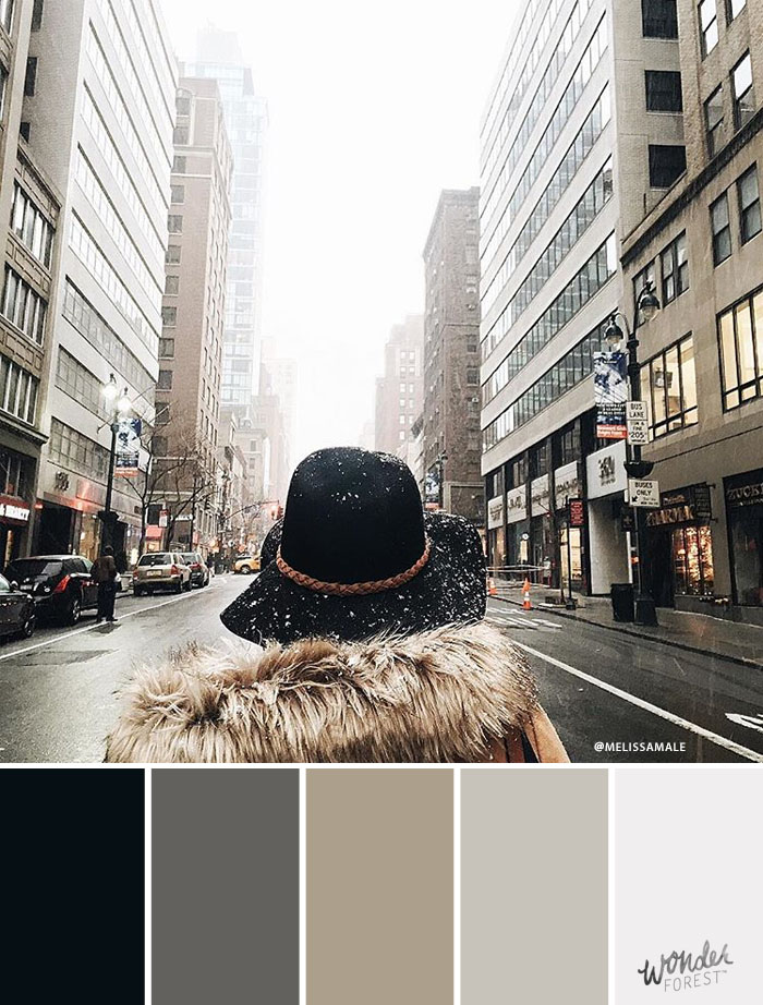 Neutral Winter Color Palette