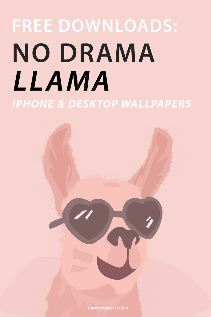 No Drama Llama iPhone and Desktop Wallpapers