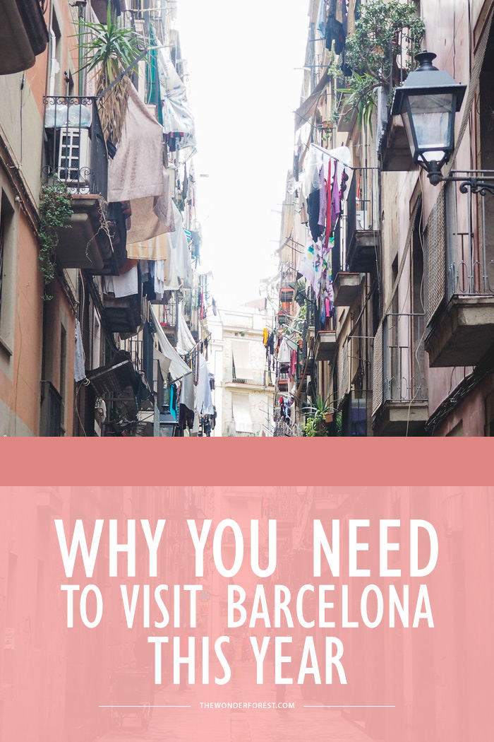 Why You Need to Visit Barcelona This Year