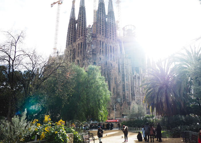Why You Need to Visit Barcelona This Year