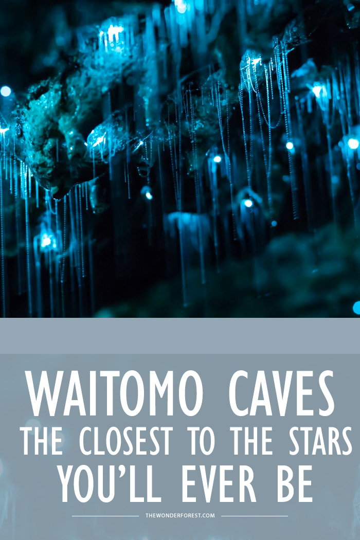 Waitomo Caves, NZ: The Closest to the Stars You’ll Ever Be