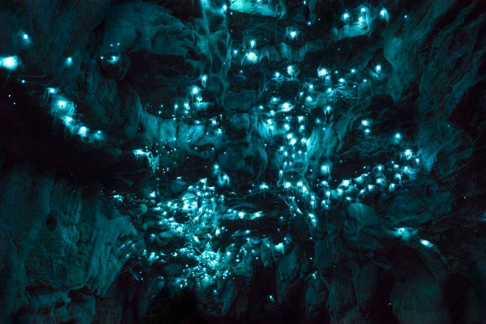 Waitomo Caves, New Zealand