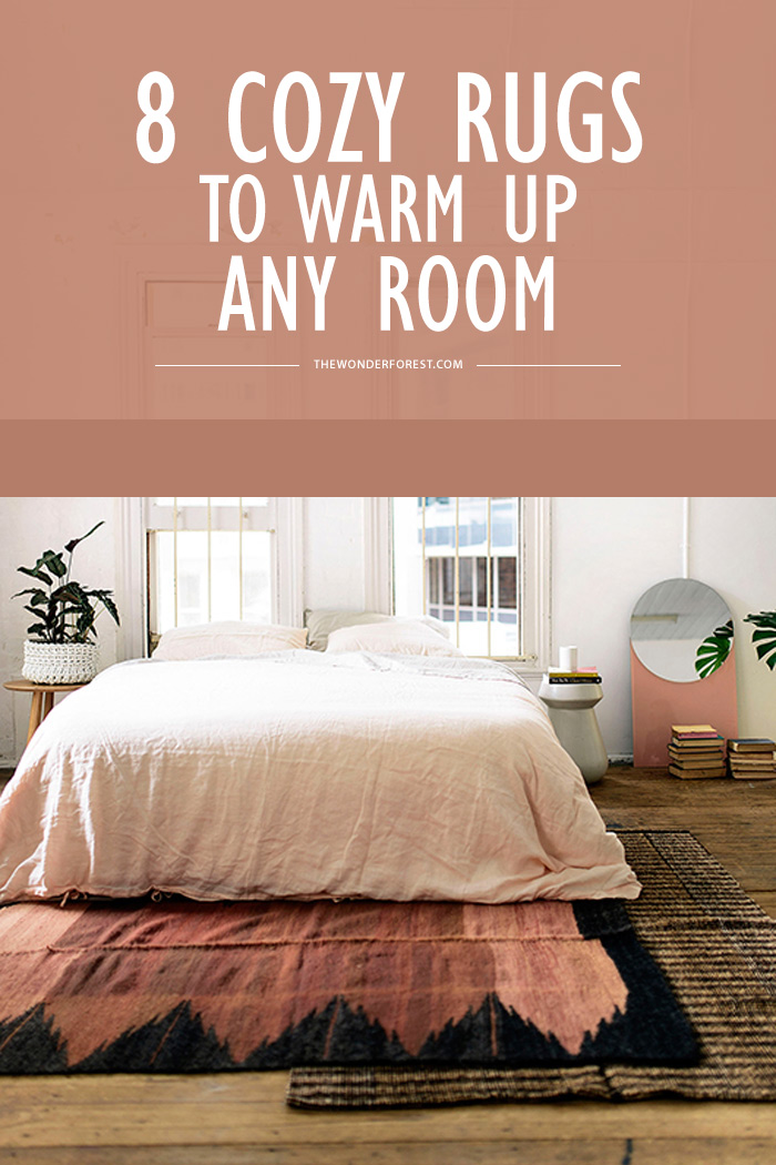 8 Cozy Rugs to Warm Up Any Room