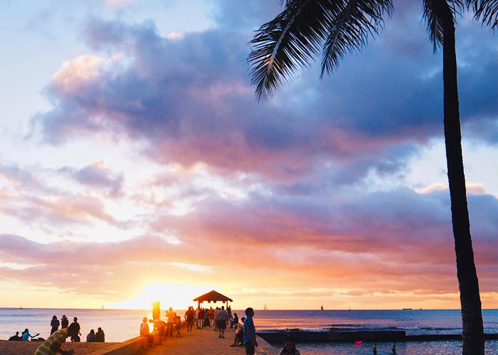 10 Things to Do in Oahu This Summer Wonder Forest