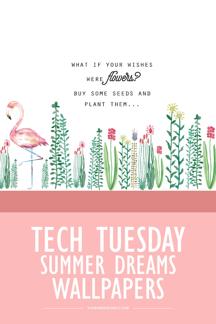 TECH TUESDAY: Summer Dreams Wallpapers