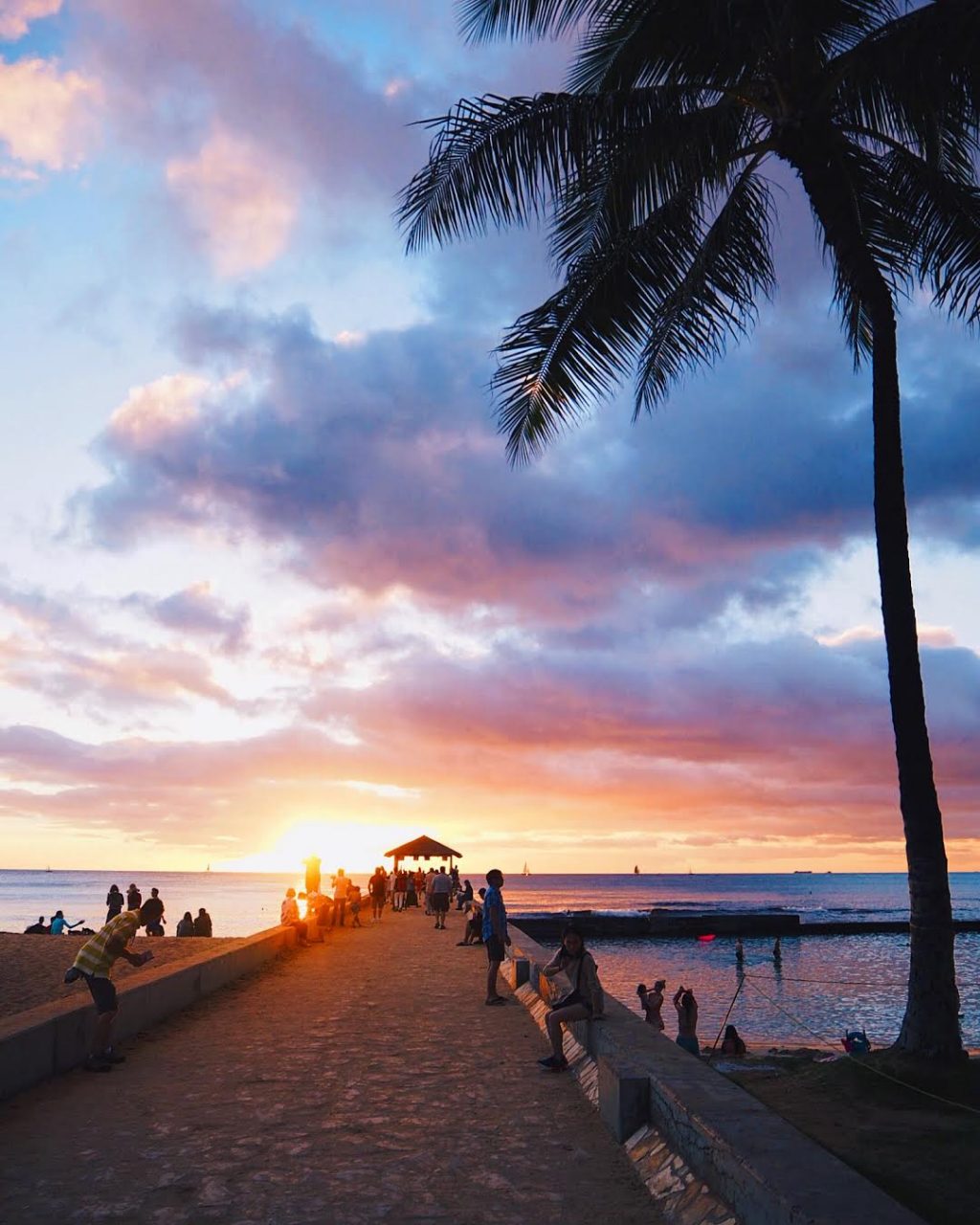 10 Things to Do in Oahu This Summer Wonder Forest