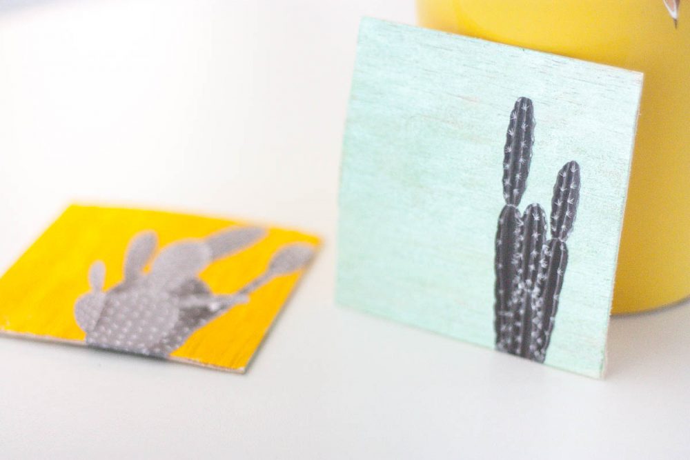 DIY: Quick & Cute Cacti Wall Art