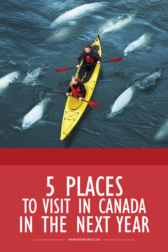 5 Places in Canada to Visit in the Next Year