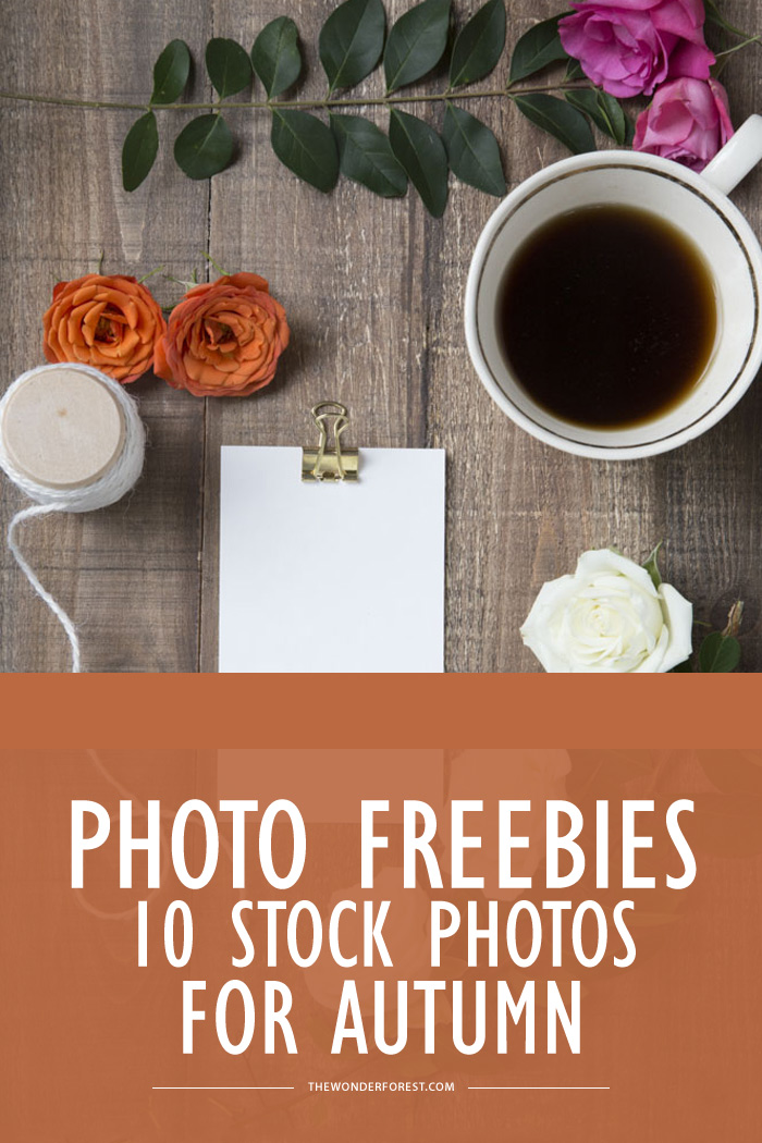 Photo Freebies: 10 Stock Photos for Autumn