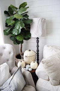 5 Ways to Cozy Up Your Living Room For Autumn