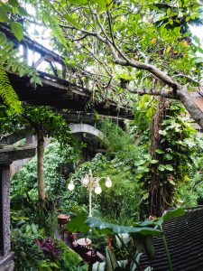 A First Timer's Guide to Ubud, Bali