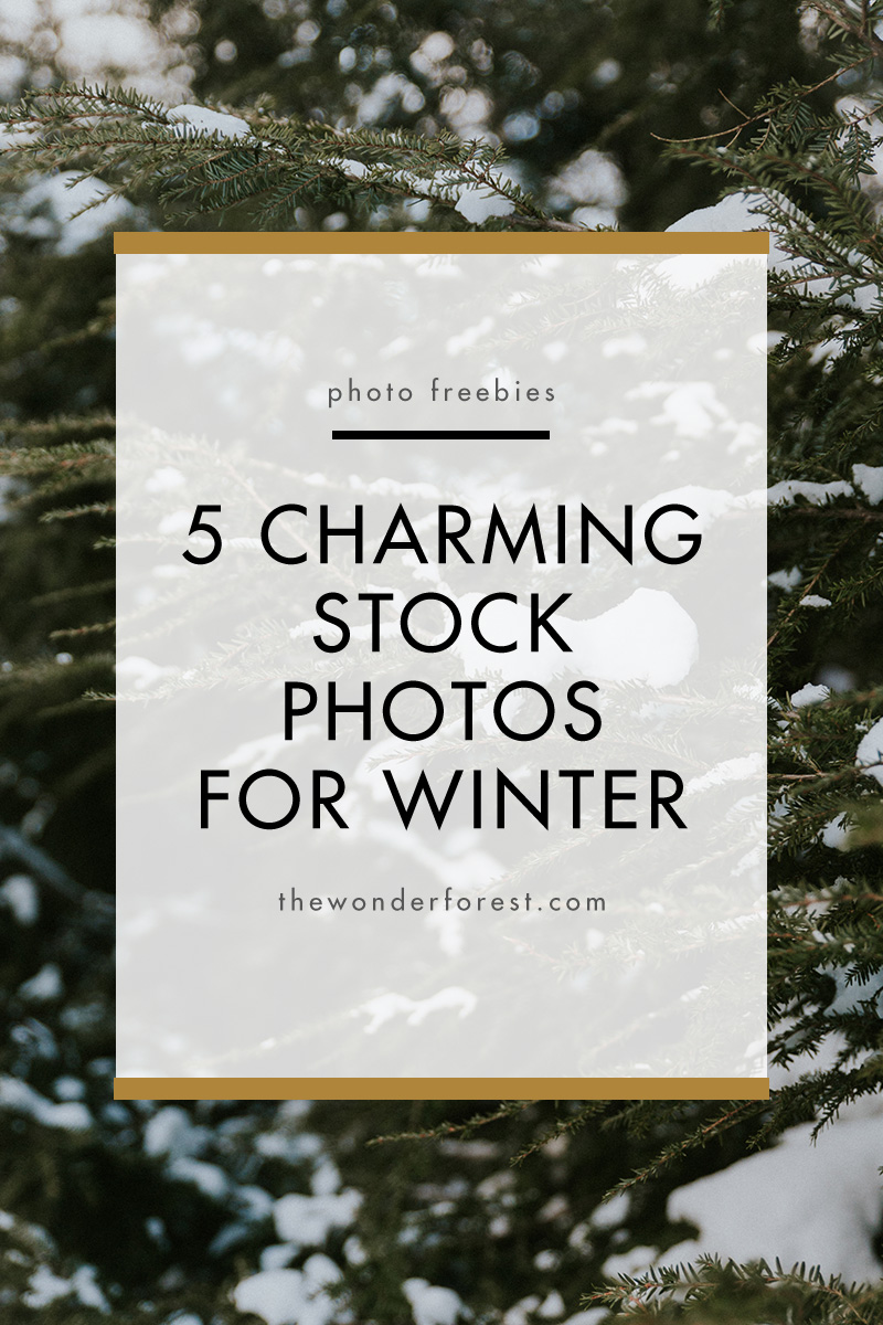 5 Charming Stock Photos for Winter