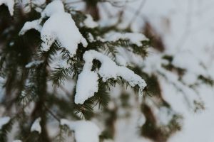 5 Charming Stock Photos for Winter