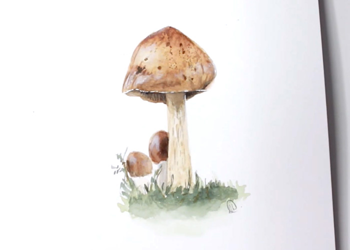 Watercolour Tutorial: Wild Mushroom