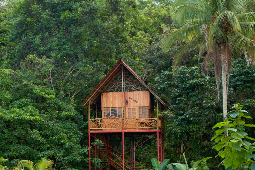 6 Tree Houses You Can Spend The Night In Wonder Forest 