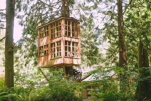 7 Tree Houses You Can Spend The Night In