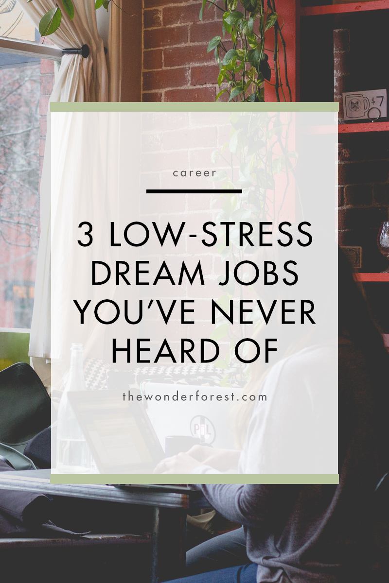 3 Low-Stress Dream Jobs You Have Never Heard Of