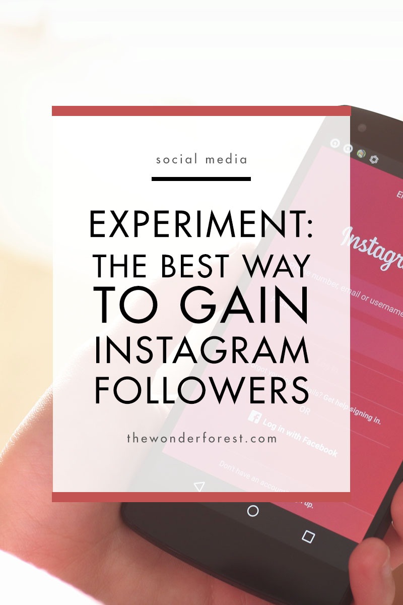A Real Social Experiment: How to Gain Instagram Followers Organically
