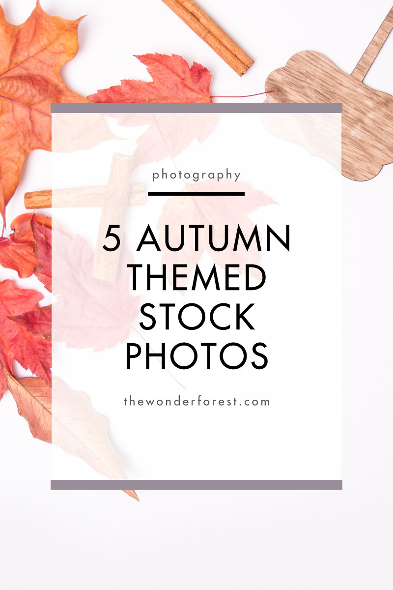 5 Free Autumn Themed Stock Photos For Your Brand