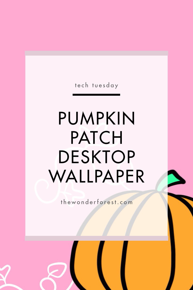 TECH TUESDAY: Pumpkin Patch Desktop Wallpaper