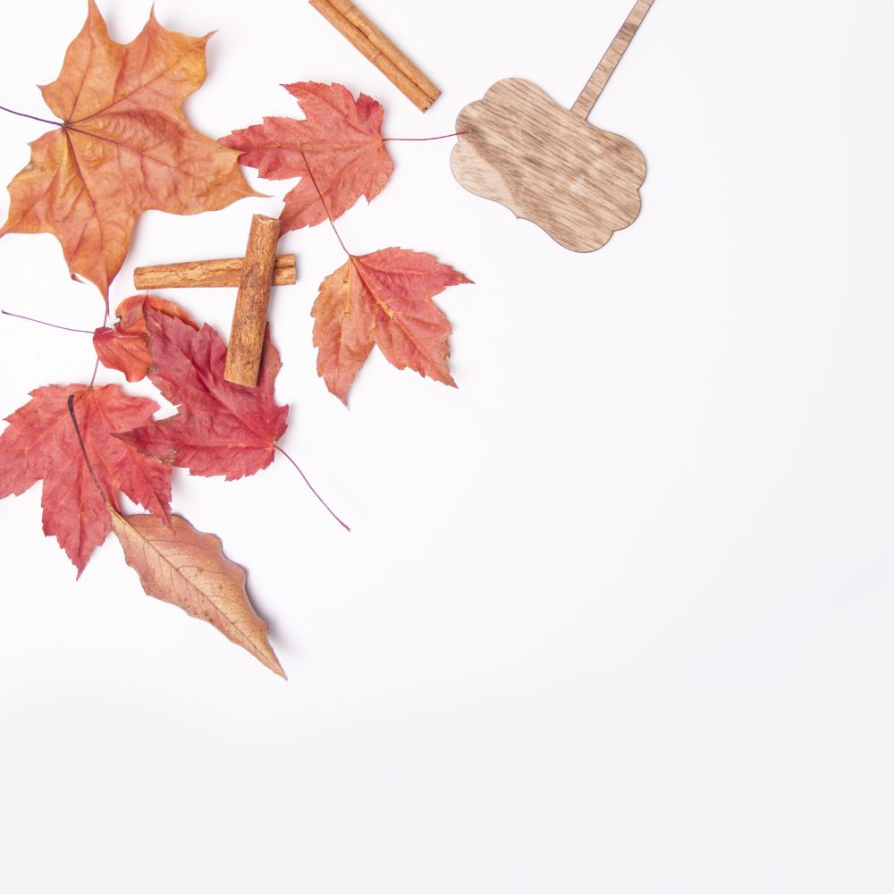 5 Autumn Themed Stock Photos To Use For Your Brand