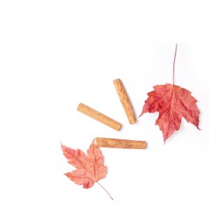 5 Autumn Themed Stock Photos To Use For Your Brand