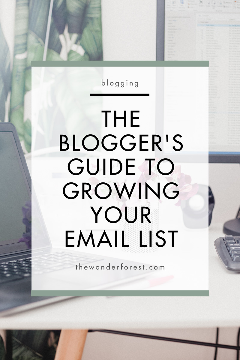 The Blogger's Guide to Growing Your Email List