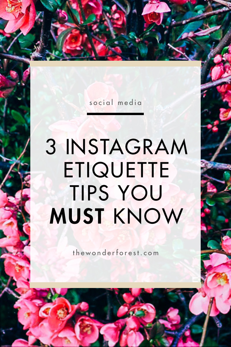 3 Instagram Etiquette Tips You Must Know