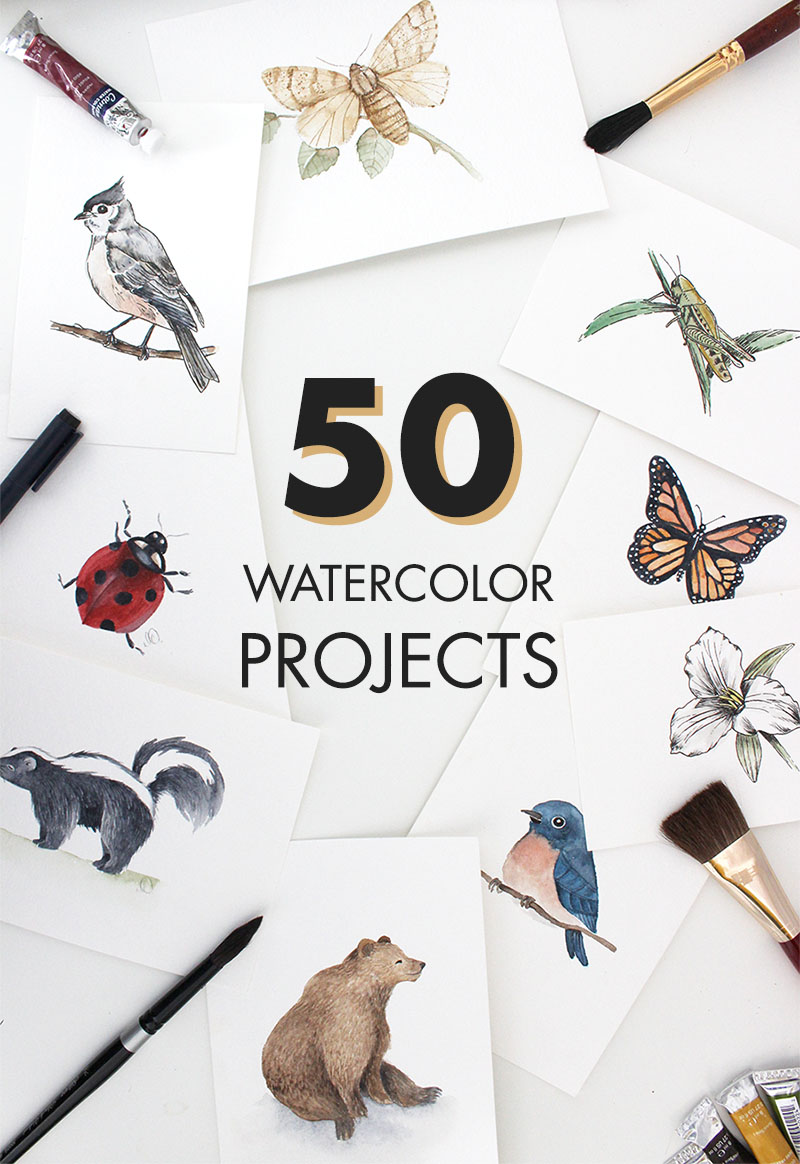 50 Watercolor Tutorials!