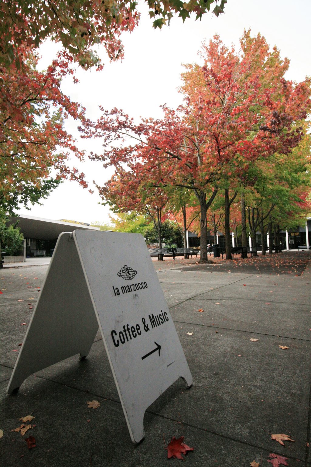 5 Ways to Spend the Perfect Fall Day in Seattle
