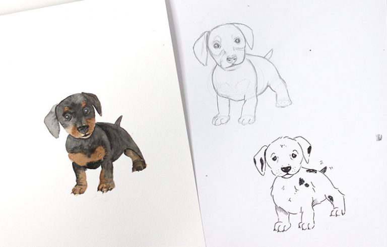 How to Draw a Dog