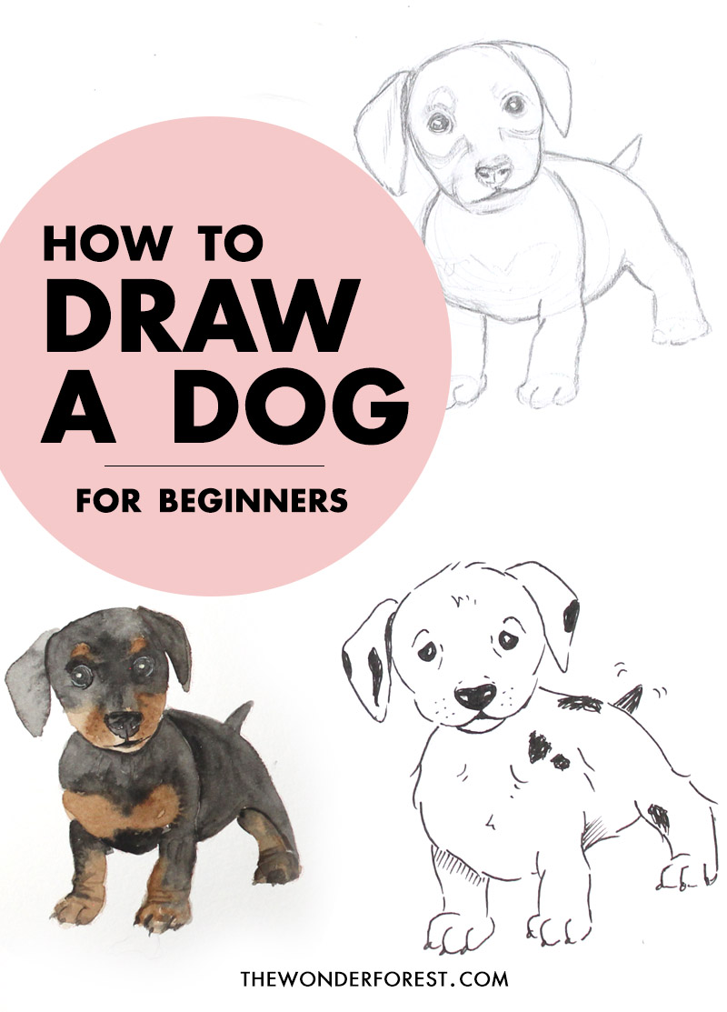 How to Draw a Dog 