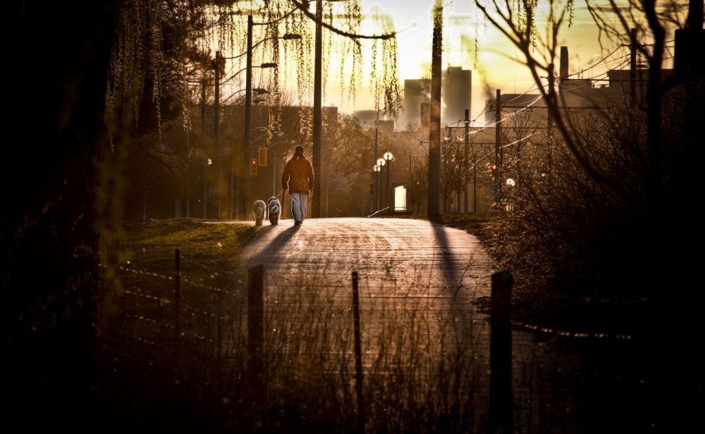 High Park is located just outside of downtown Toronto