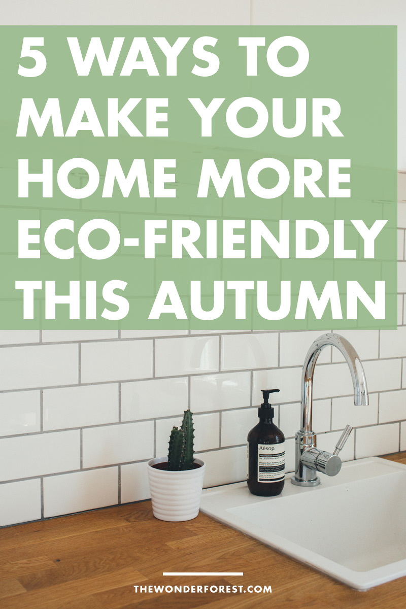 5 Ways To Make Your Home More Eco-Friendly this Autumn/Fall