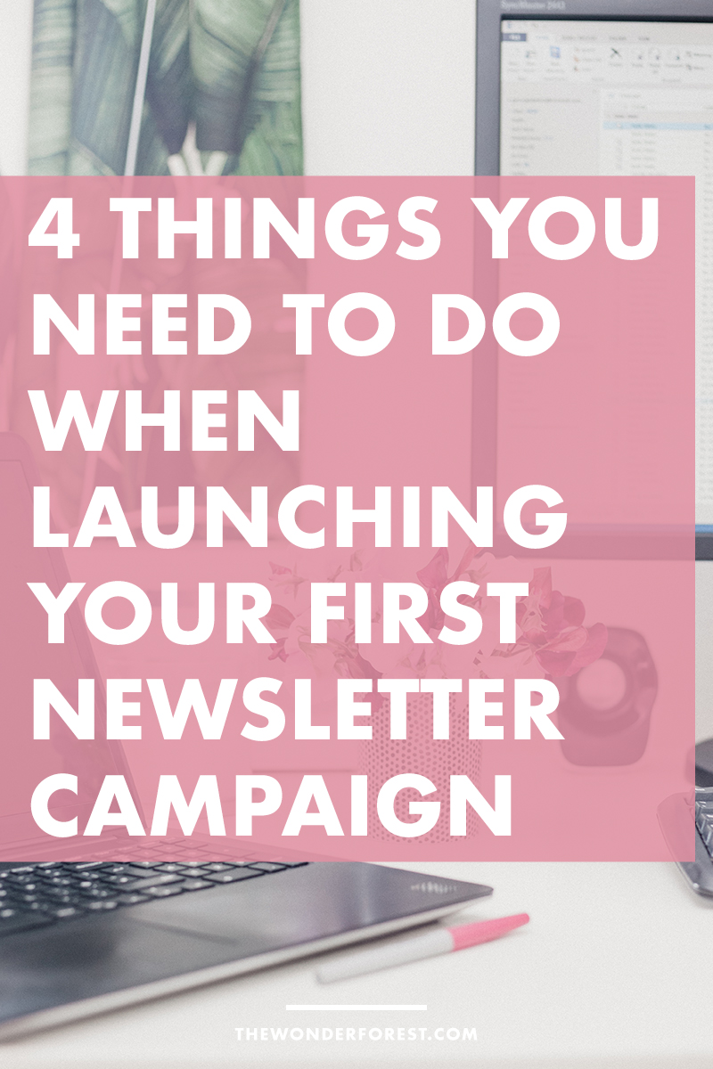 4 Things You Need to Do When Launching Your First Newsletter Campaign