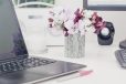 4 Things You Need to Do When Launching Your First Newsletter Campaign