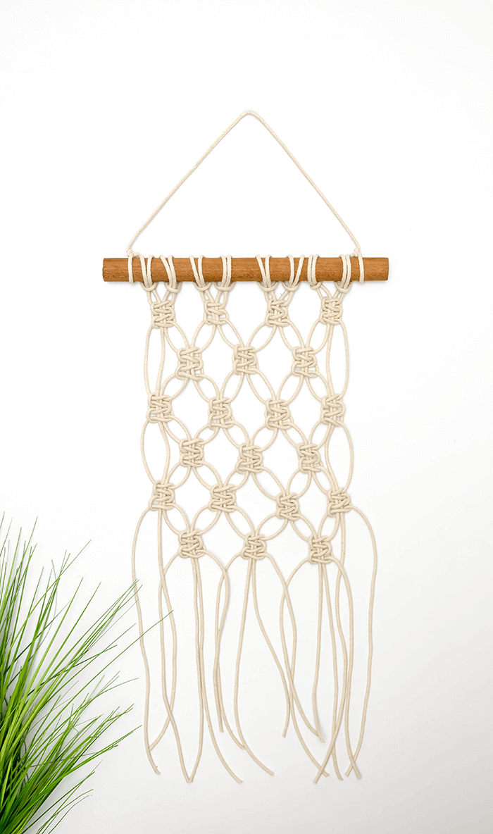 Beginner Mini Macrame Wall Hanging