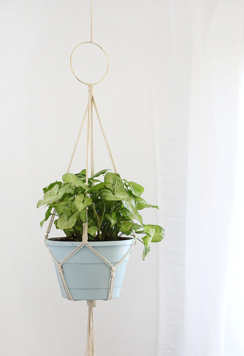 Easy Macrame Plant Hanger