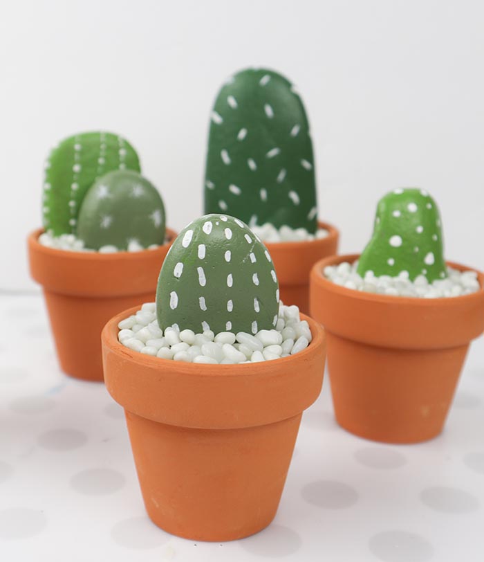 Cactus Rock Decor