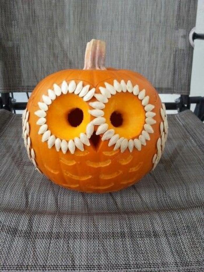 Owl Pumpkin Template