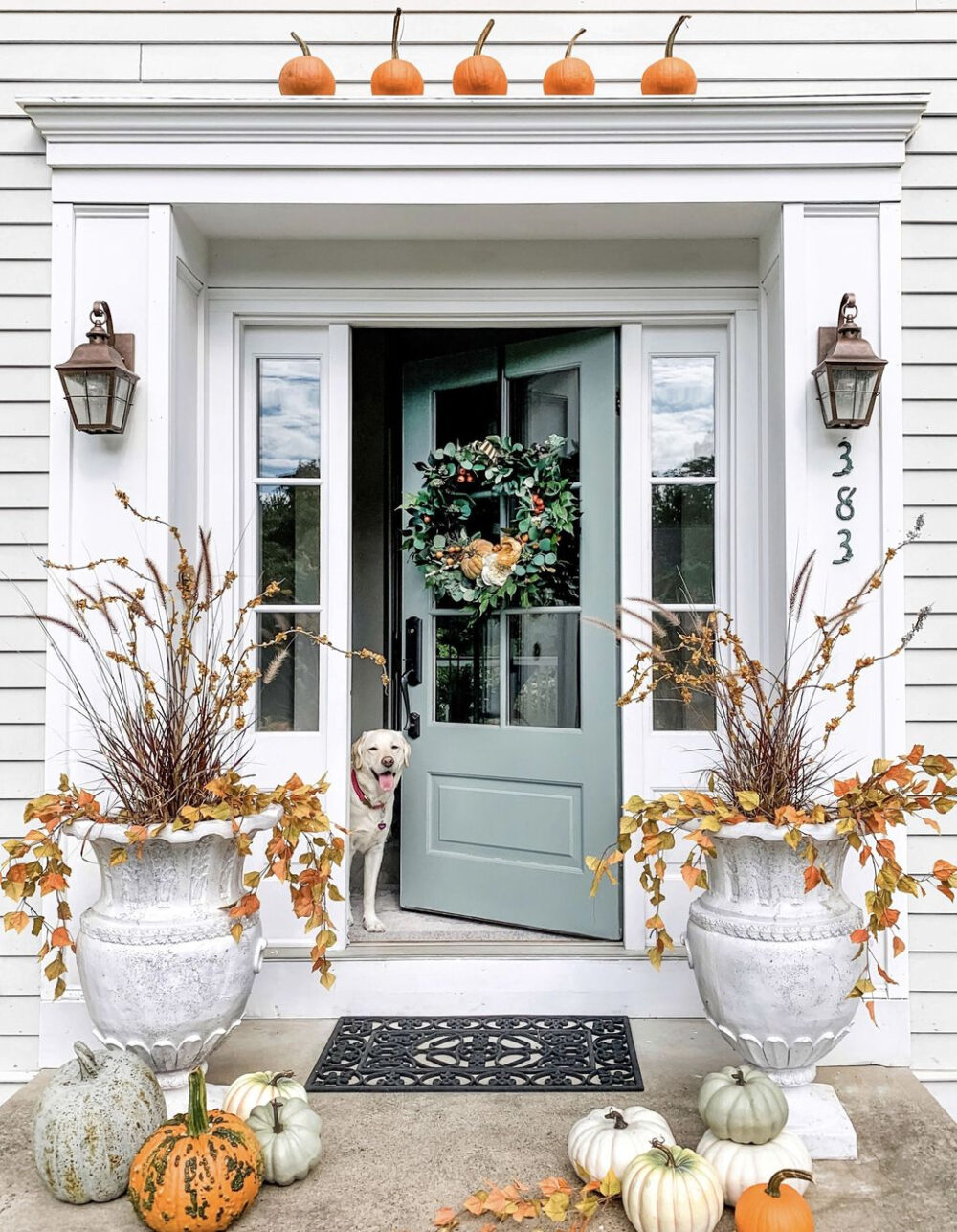 How To Get The Perfect Fall Door Decor In Minutes! thumbnail