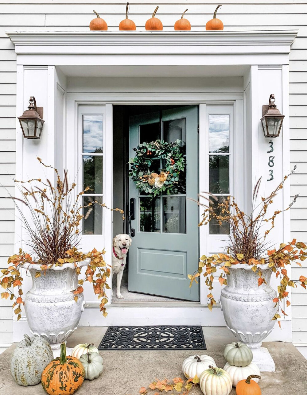 Main Door Decoration Ideas With Flowers - Design Talk