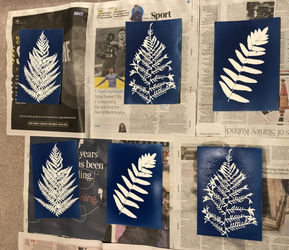 How To Make A Basic DIY Cyanotype Print