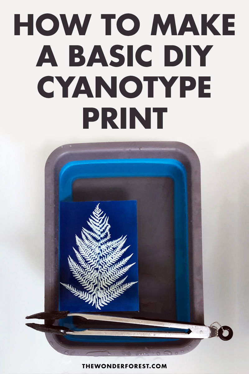 How To Make A Basic DIY Cyanotype Print