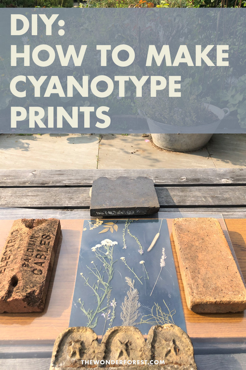 How To Make A Basic DIY Cyanotype Print