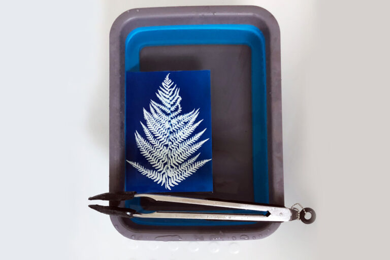 How To Make A Basic DIY Cyanotype Print