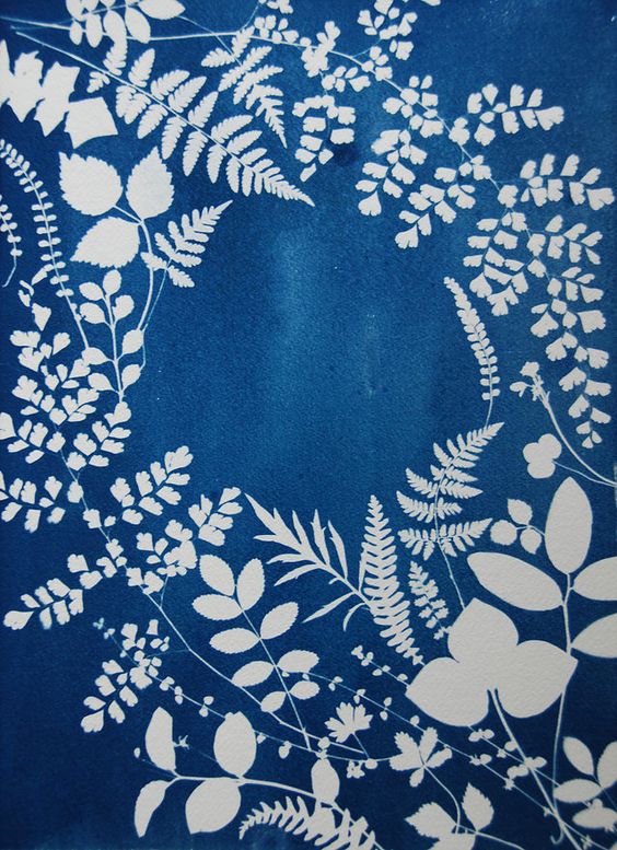 Cyanotype Sun Print